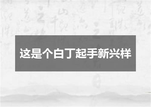 这是个白丁起手新兴样