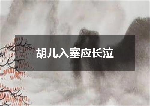 胡儿入塞应长泣