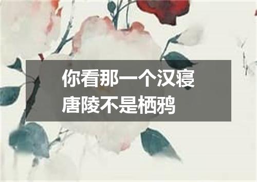 你看那一个汉寝唐陵不是栖鸦
