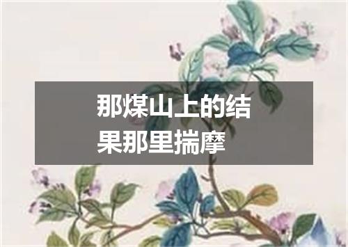 那煤山上的结果那里揣摩