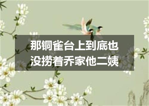 那铜雀台上到底也没捞着乔家他二姨