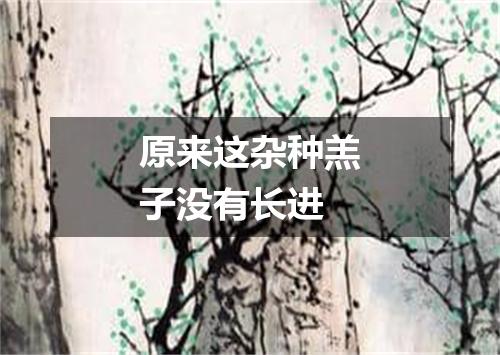 原来这杂种羔子没有长进