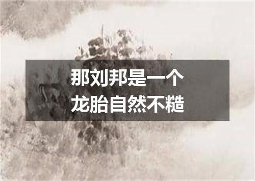 那刘邦是一个龙胎自然不糙