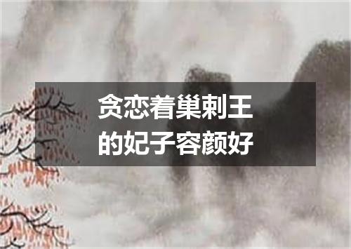 贪恋着巢剌王的妃子容颜好