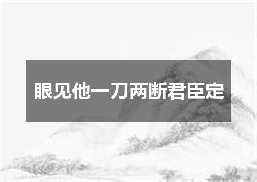 眼见他一刀两断君臣定