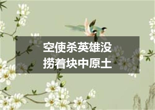 空使杀英雄没捞着块中原土
