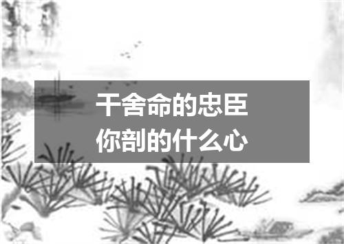 干舍命的忠臣你剖的什么心
