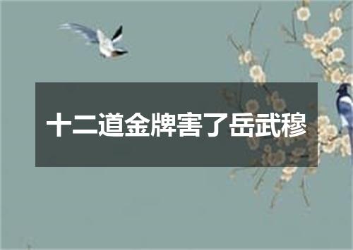 十二道金牌害了岳武穆
