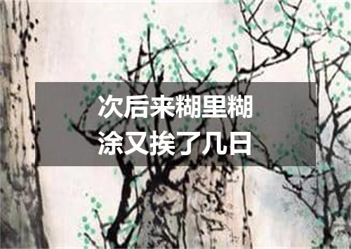 次后来糊里糊涂又挨了几日