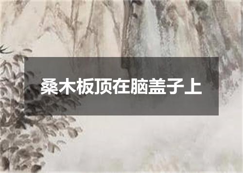 桑木板顶在脑盖子上