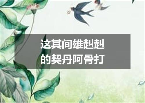 这其间雄赳赳的契丹阿骨打