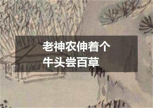 老神农伸着个牛头尝百草