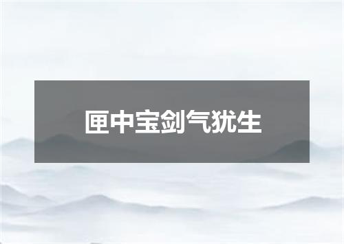匣中宝剑气犹生