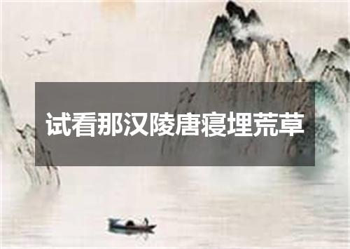 试看那汉陵唐寝埋荒草