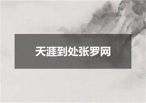 天涯到处张罗网