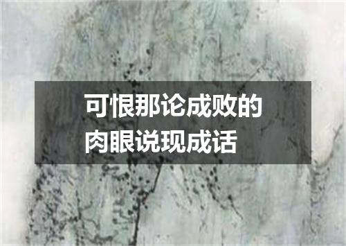 可恨那论成败的肉眼说现成话