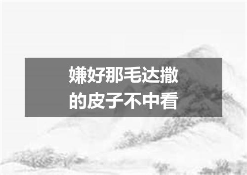 嫌好那毛达撒的皮子不中看
