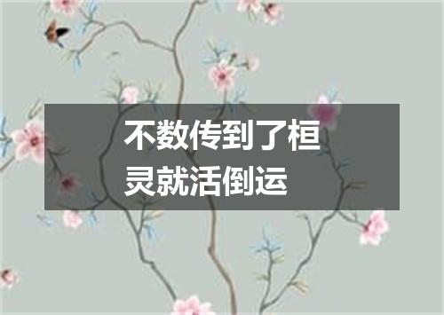 不数传到了桓灵就活倒运
