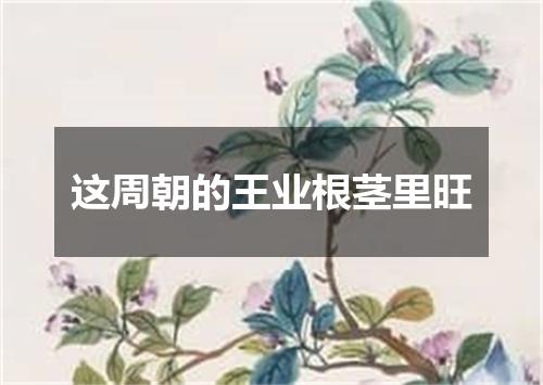 这周朝的王业根茎里旺
