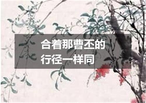 合着那曹丕的行径一样同