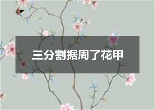 三分割据周了花甲