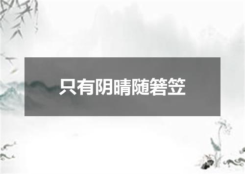 只有阴晴随箬笠