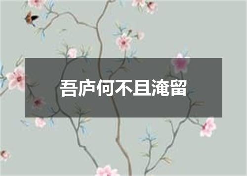 吾庐何不且淹留