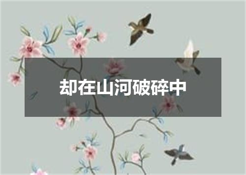 却在山河破碎中