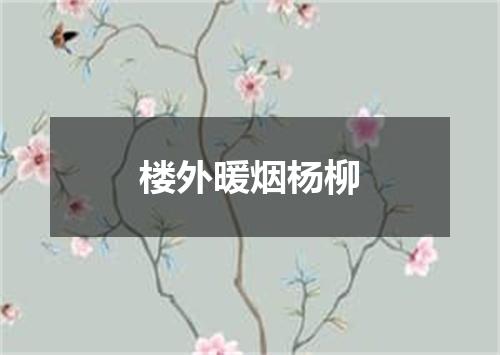 楼外暖烟杨柳