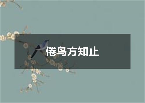 倦鸟方知止