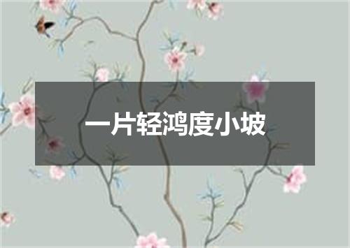 一片轻鸿度小坡