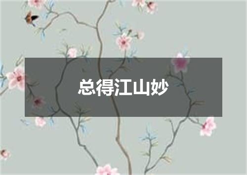 总得江山妙