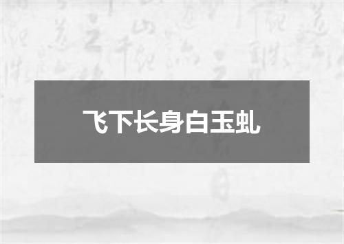 飞下长身白玉虬