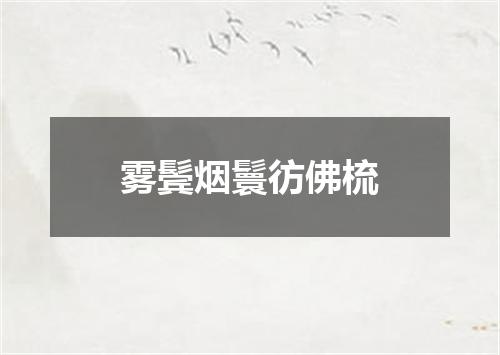 雾鬓烟鬟彷佛梳