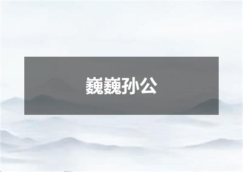 巍巍孙公