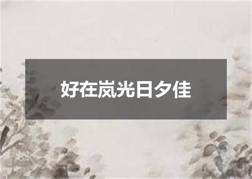 好在岚光日夕佳