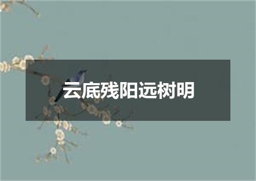 云底残阳远树明