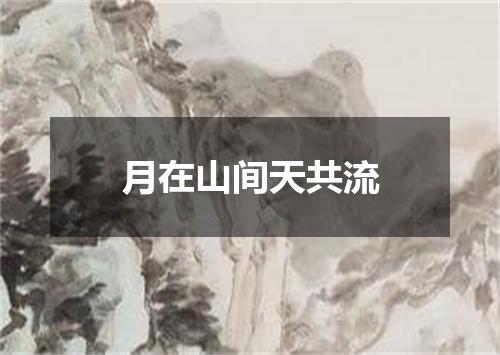 月在山间天共流