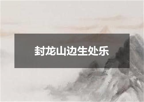 封龙山边生处乐