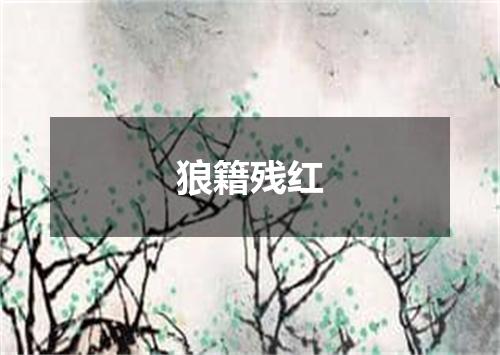 狼籍残红
