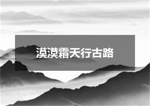 漠漠霜天行古路