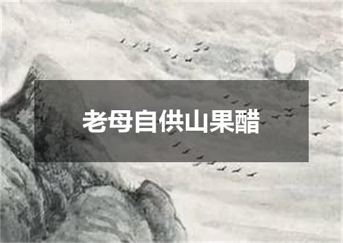 老母自供山果醋