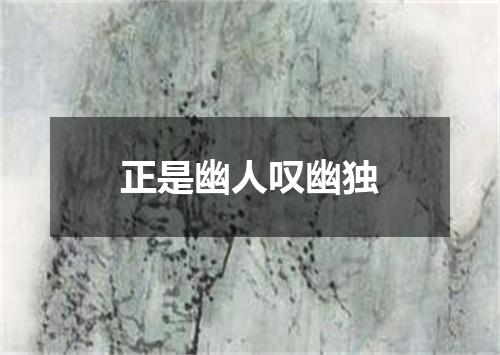 正是幽人叹幽独