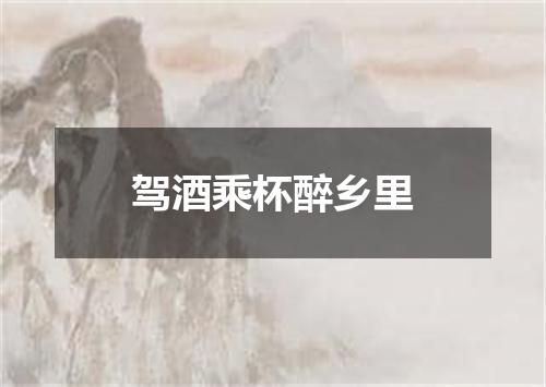 驾酒乘杯醉乡里