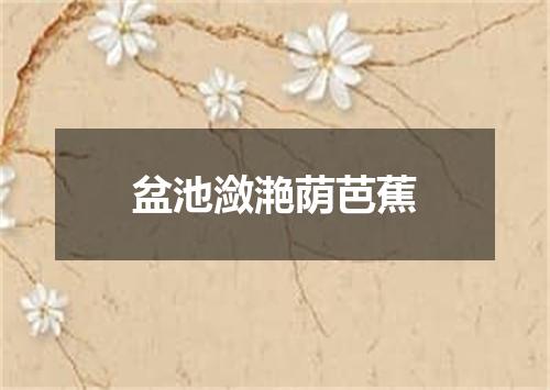 盆池潋滟荫芭蕉