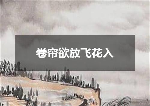 卷帘欲放飞花入