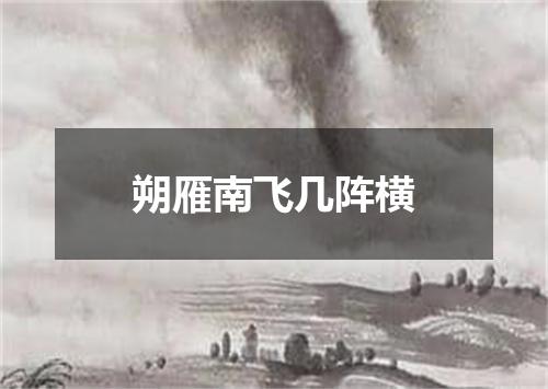 朔雁南飞几阵横