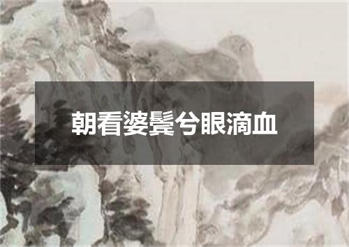 朝看婆鬓兮眼滴血