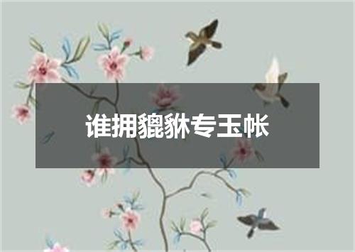 谁拥貔貅专玉帐