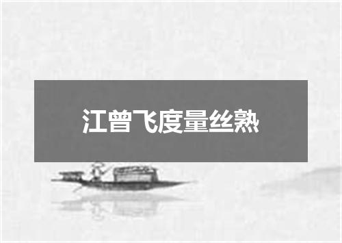 江曾飞度量丝熟